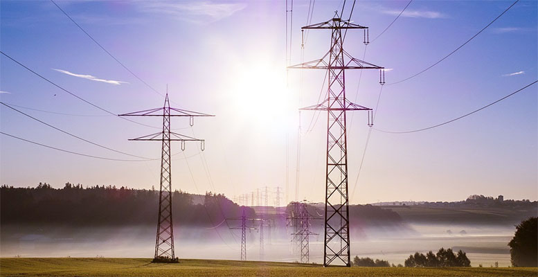 wholeshale electricity market